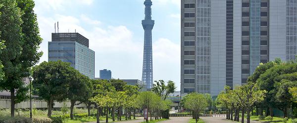 公園