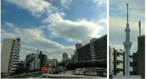 東白鬚第二マンション11号棟 眺望