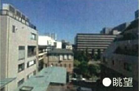 錦糸町アムフラットⅢ 眺望