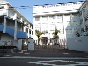 神戸市立駒ヶ林小学校：127m
