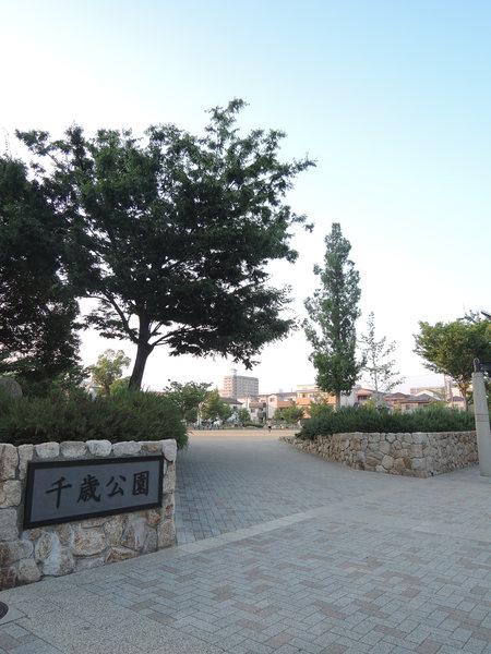千歳公園：525m
