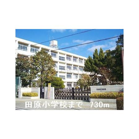 プロスペリティ−１１５ 周辺環境写真3 田原小学校：730m