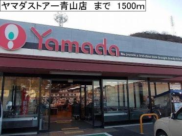 ヤマダストアー青山店：1500m