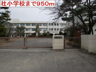 社小学校：950m