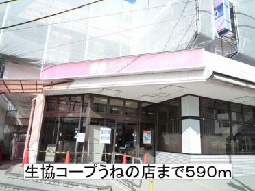 生協コープうねの店：590m