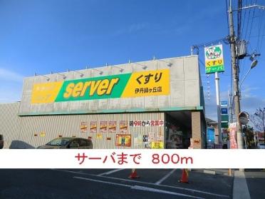 サーバ：800m