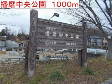 播磨中央公園：1000m