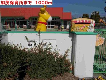 加茂保育所：1000m