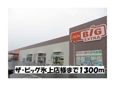 ザ・ビッグ氷上店：1300m