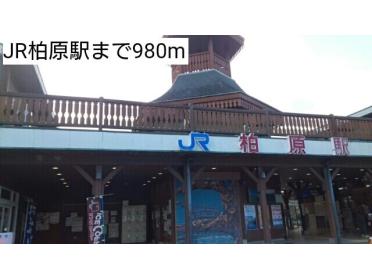 JR柏原駅：980m