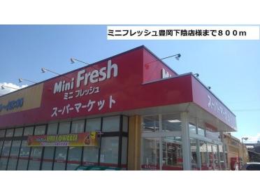 ミニフレッシュ豊岡下陰店様：800m