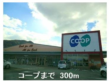 Ａコープ：300m