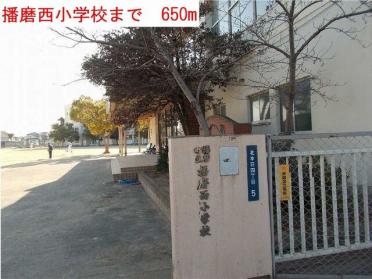 播磨西小学校：650m