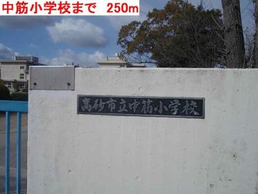 中筋小学校：250m