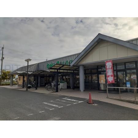 メゾン　グレーヌ　塩屋Ａ 周辺環境写真3 主婦の店　塩屋店：400m