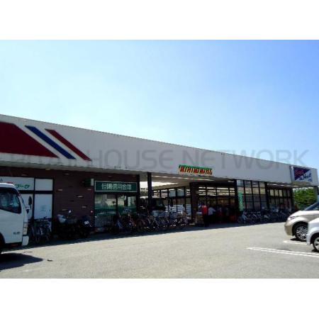 パインフォレスト浜の宮 周辺環境写真3 マルアイ浜の宮店：501m