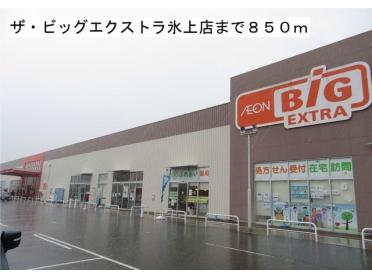 ザ・ビッグエクストラ氷上店：850m