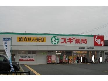 スギ薬局上坂部店：800m