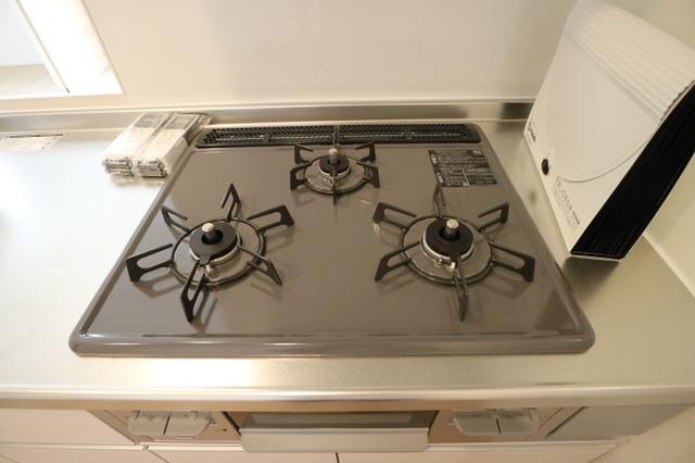 リバーサイドテラス　B棟（102） 部屋画像