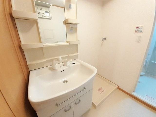 メゾンプラースⅡ（202） 洗面