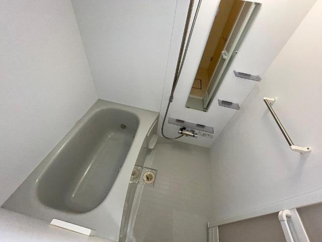 カラタチ 部屋画像