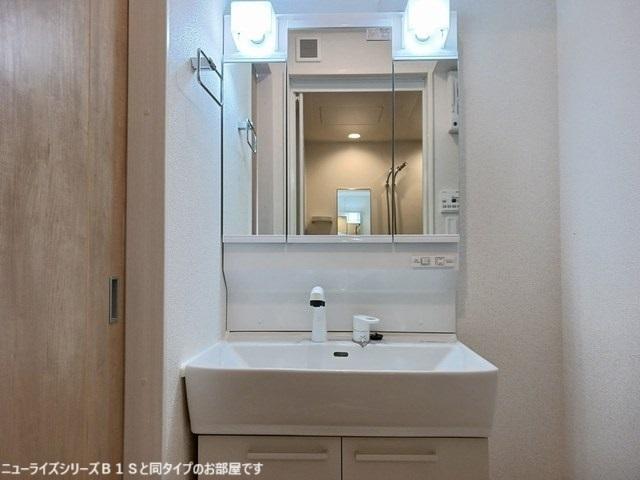 メゾングレーヌ東觜崎駅前Ａ（205） 洗面