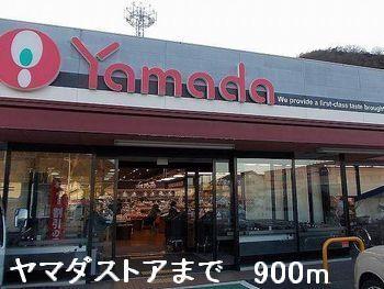 ヤマダストア：900m