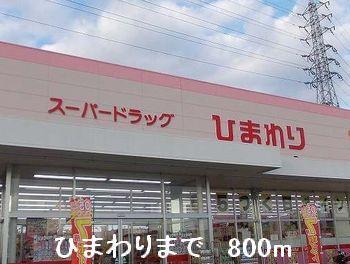 ひまわり：800m