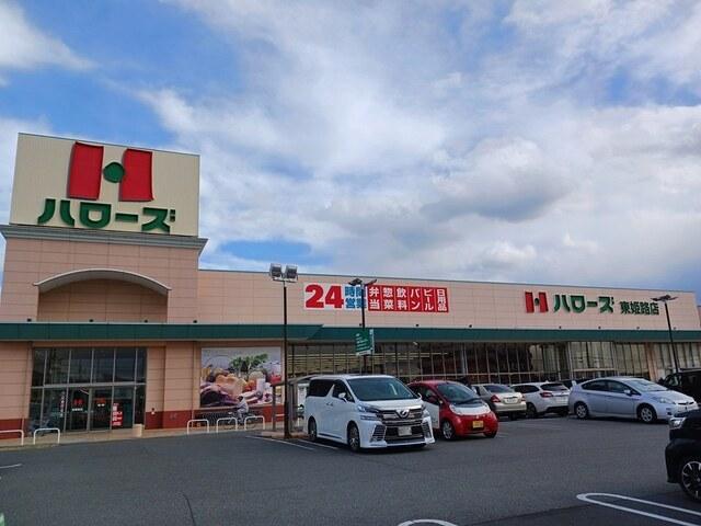 ハローズ：1500m