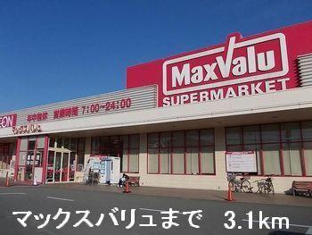 マックスバリュ：3100m