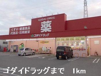 ゴダイドラッグ：1000m