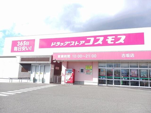 コスモス：280m