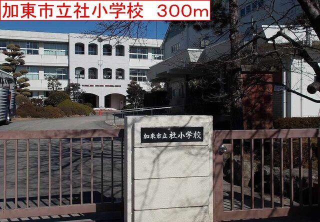 加東社小学校：300m