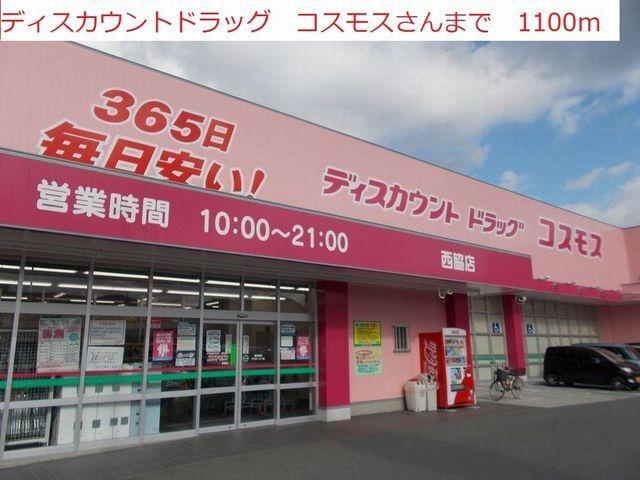ディスカウントドラッグコスモス：1100m