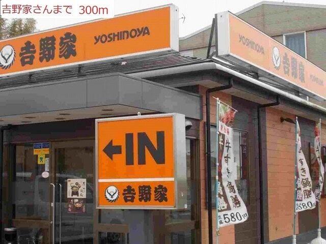吉野家：300m