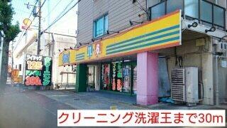 クリーニング洗濯王：30m