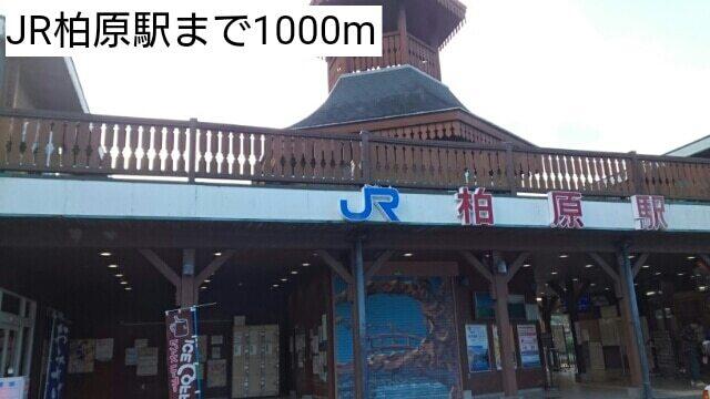 JR柏原駅：1000m