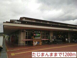 たじまんま：1200m