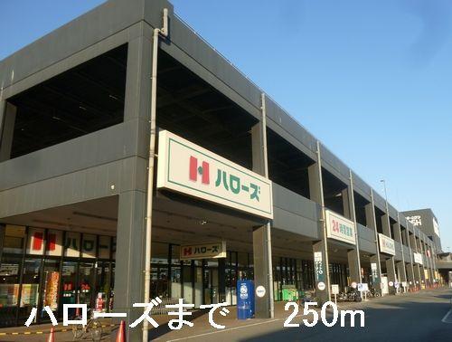 ハローズ：250m