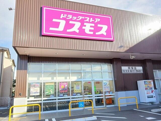 コスモス：450m