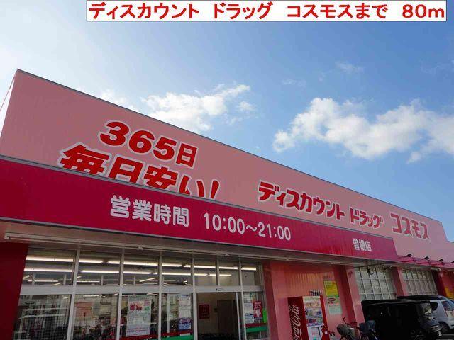 コスモス：80m