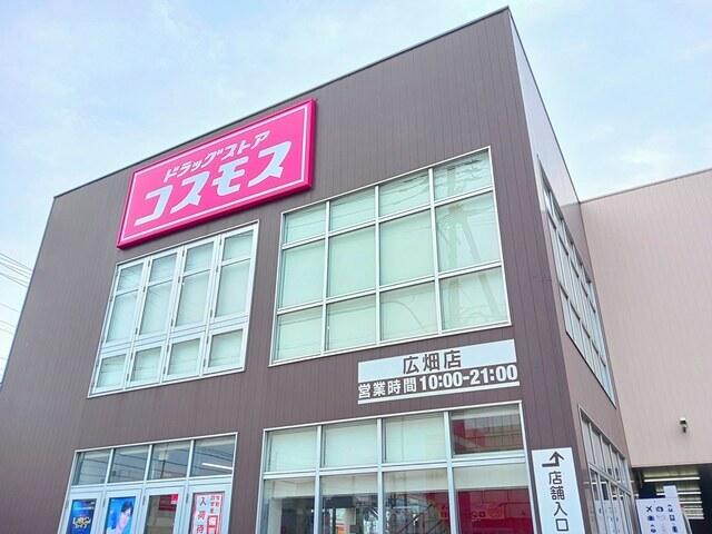 コスモス：300m
