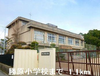 勝原小学校：1100m