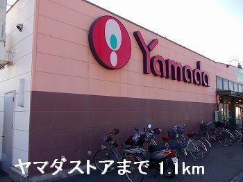 ヤマダストア：1100m