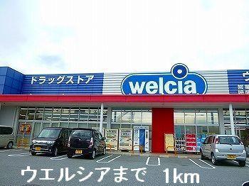 ウエルシア：1000m