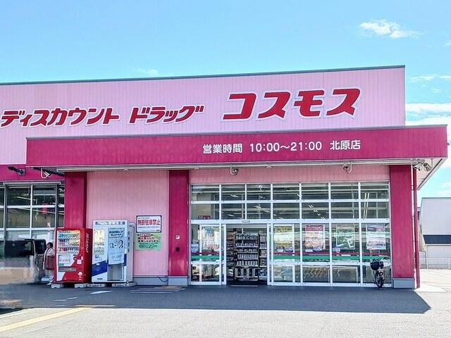 コスモス：850m