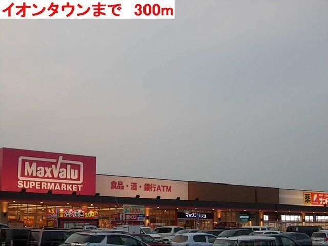 イオンタウン：300m