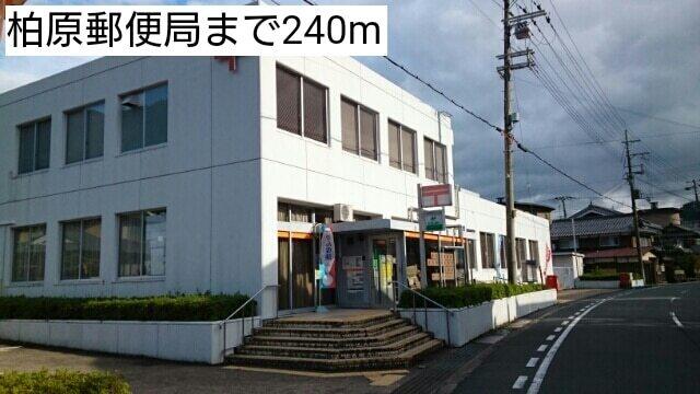柏原郵便局：240m