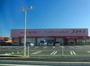 コスモスさん：1800m