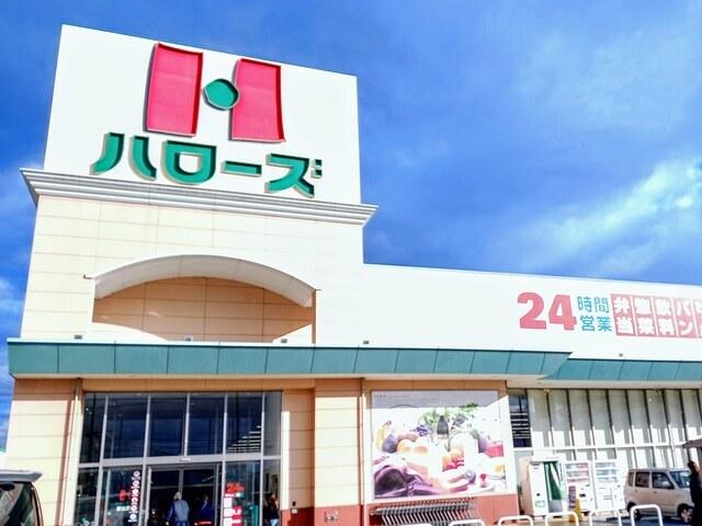 ハローズ：1900m